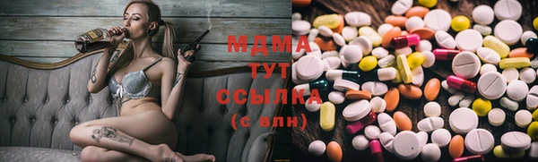 бошки Белокуриха
