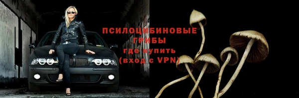 бошки Белокуриха