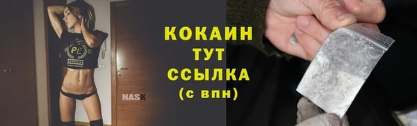 бошки Белокуриха