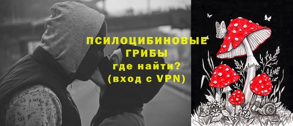 прущие крисы Беломорск