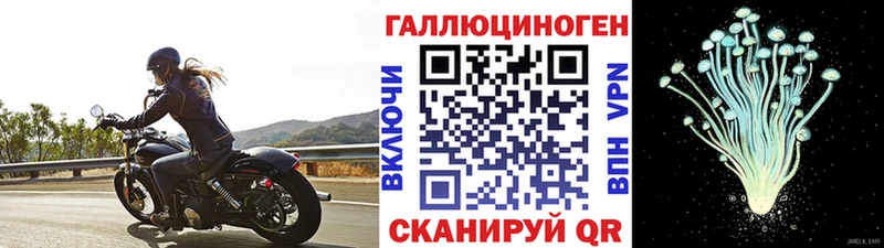 Псилоцибиновые грибы GOLDEN TEACHER  даркнет сайт  Коряжма 